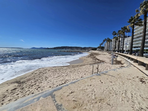 APPARTEMENT T2 LUMINEUX PLEIN SUD - Exclusif - Tanit Immobilier