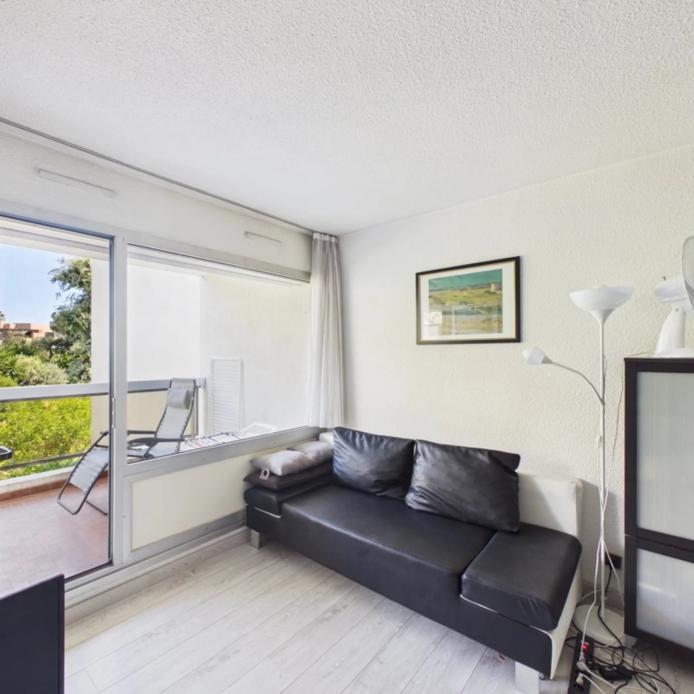 A vendre 2 Pieces 33 m2  Juan les Pins Piscine