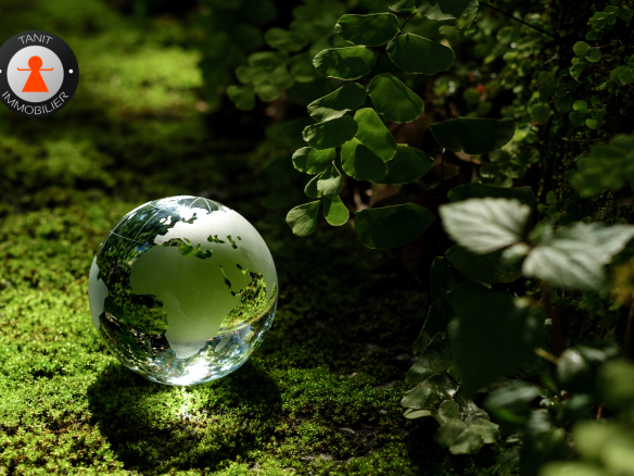 Écologie et immobilier : Enjeux, défis et solutions - Le marché immobilier - Tanit Immobilier
