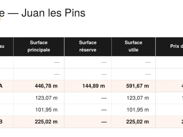 🏖️ JUAN LES PINS — Seaside shops - Sale - Tanit Immobilier